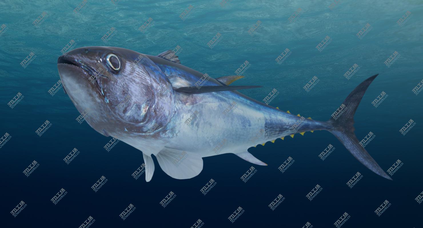 images/goods_img/20210319/Tuna Fish (Animated) 3D/2.jpg